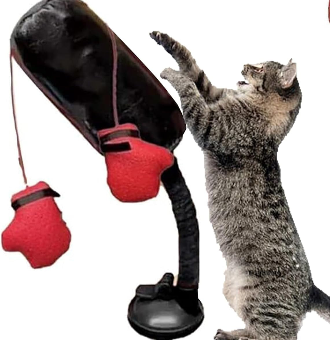 Zaolio cat toy