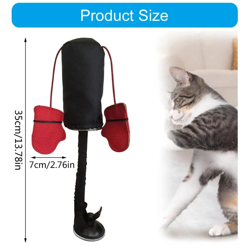 Zaolio cat toy