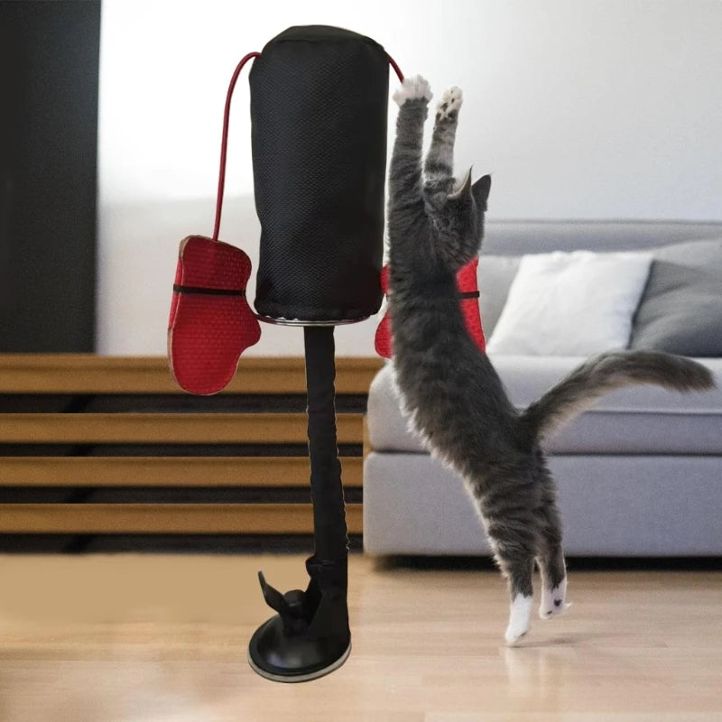Zaolio cat toy