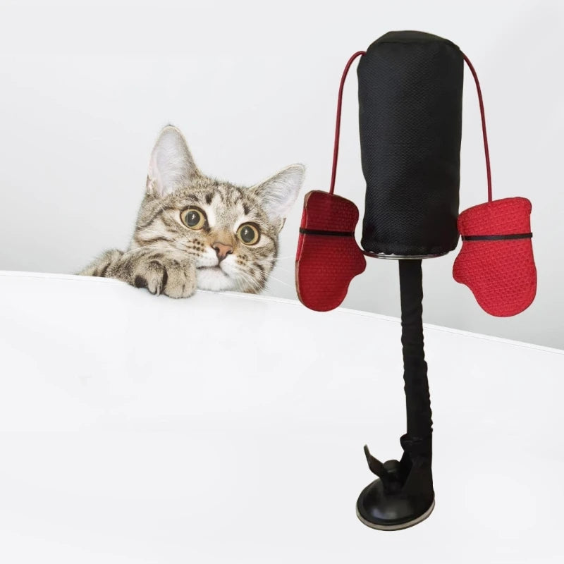 Zaolio cat toy